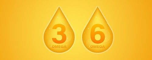Omega 6 / Omega 3 Dengesi
