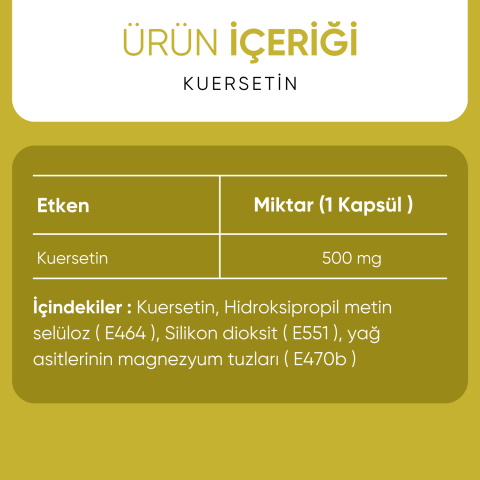 Kuersetin 500 mg